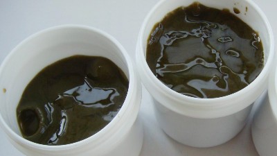 利用蛋白酶增強(qiáng)酶解蝦膏的誘食性風(fēng)味